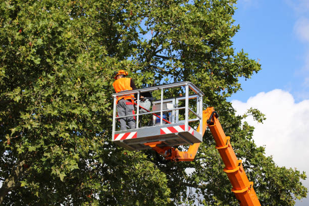 Best Mulching Services  in Tenafly, NJ