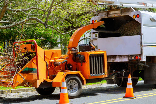 Best Utility Line Clearance  in Tenafly, NJ