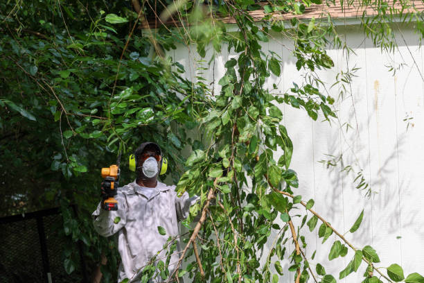 Best Commercial Tree Services  in Tenafly, NJ